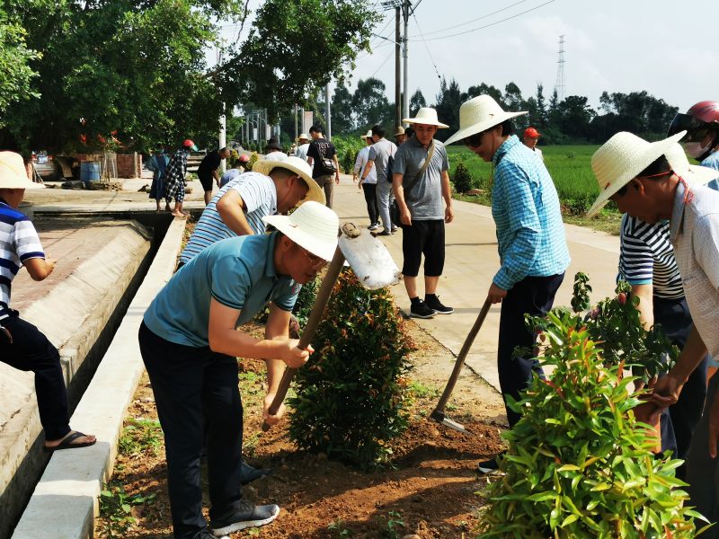 如火如荼的植树劳动现场