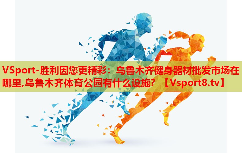 VSport-胜利因您更精彩：乌鲁木齐健身器材批发市场在哪里,乌鲁木齐体育公园有什么设施？