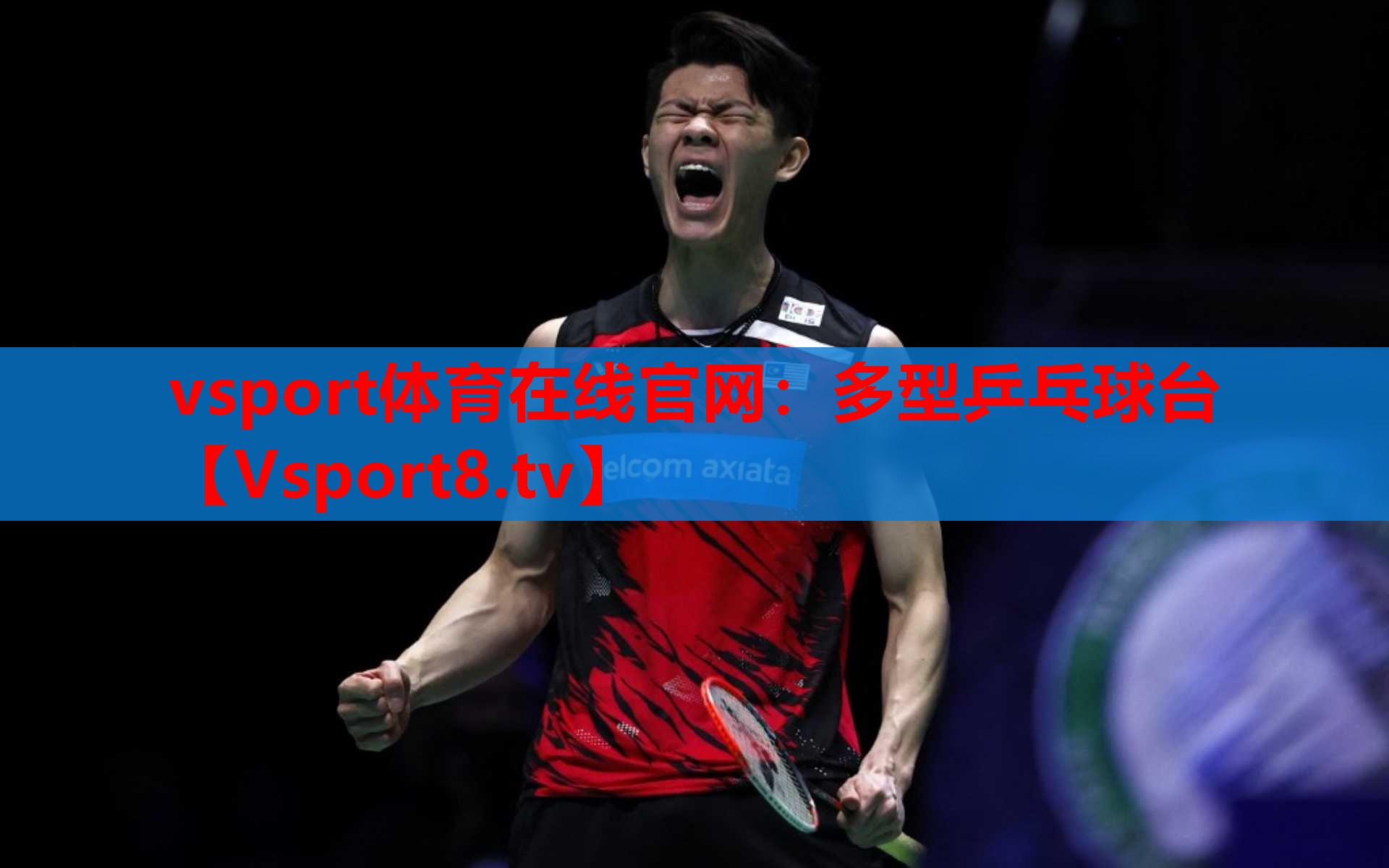 vsport体育在线官网：多型乒乓球台
