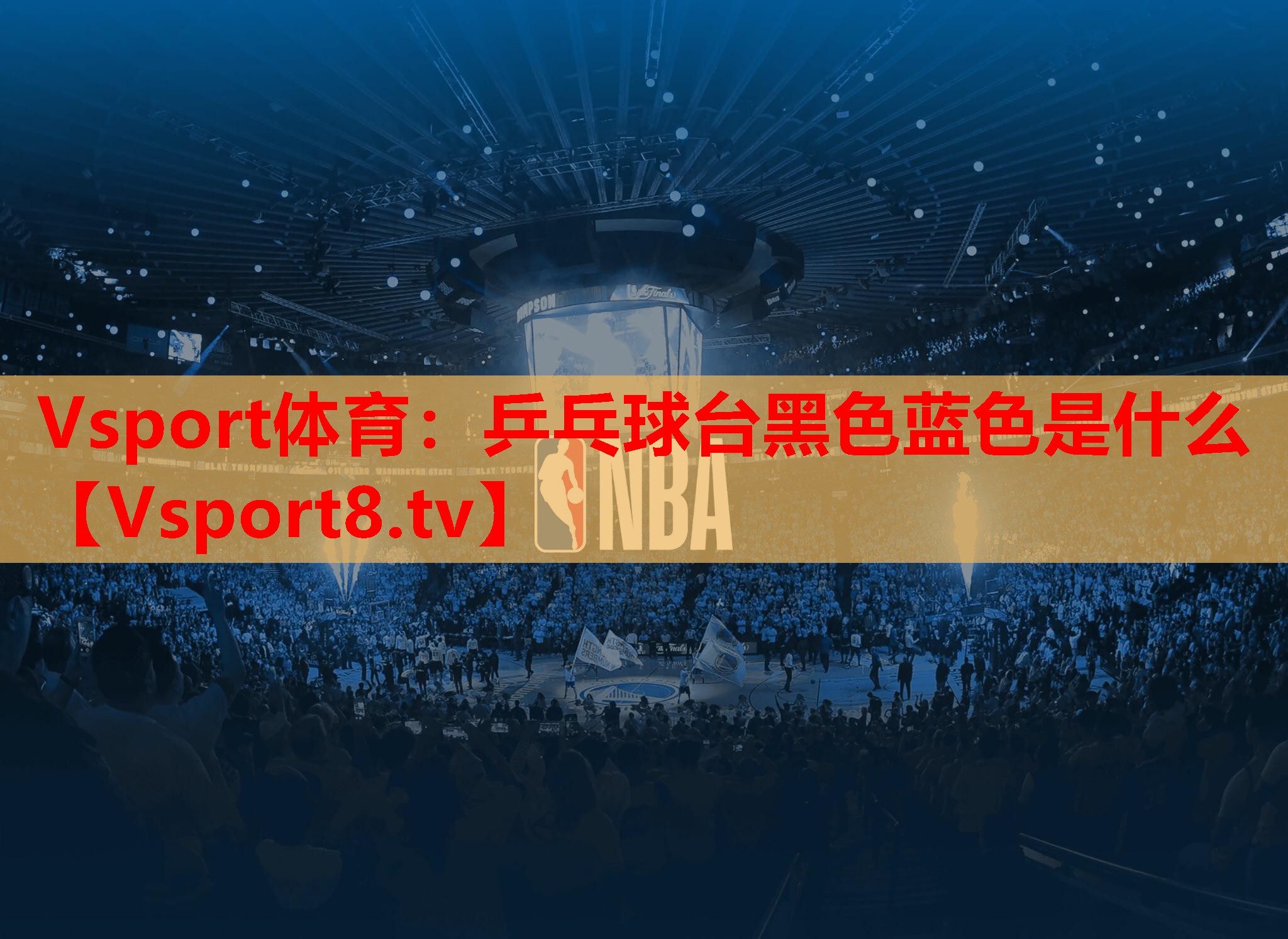 Vsport体育：乒乓球台黑色蓝色是什么