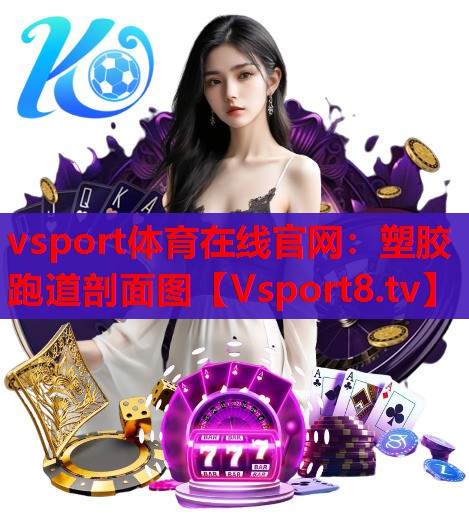 vsport体育在线官网：塑胶跑道剖面图