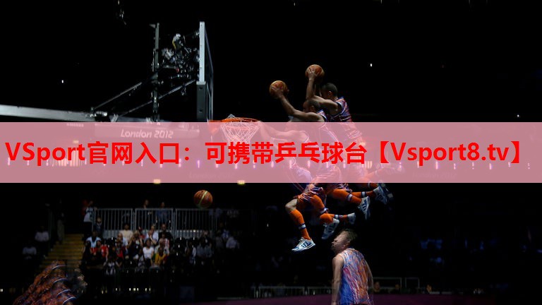 VSport官网入口：可携带乒乓球台