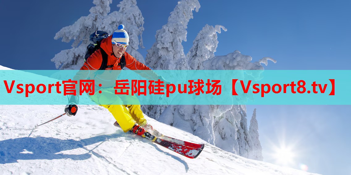 Vsport官网：岳阳硅pu球场
