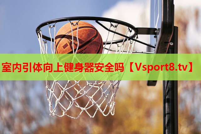 室内引体向上健身器安全吗