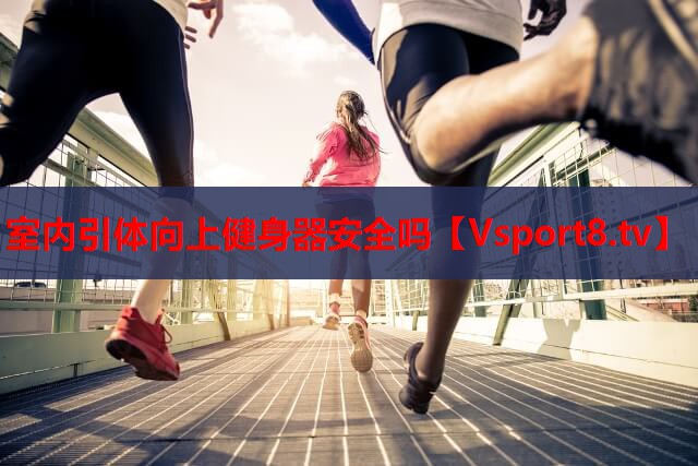 室内引体向上健身器安全吗