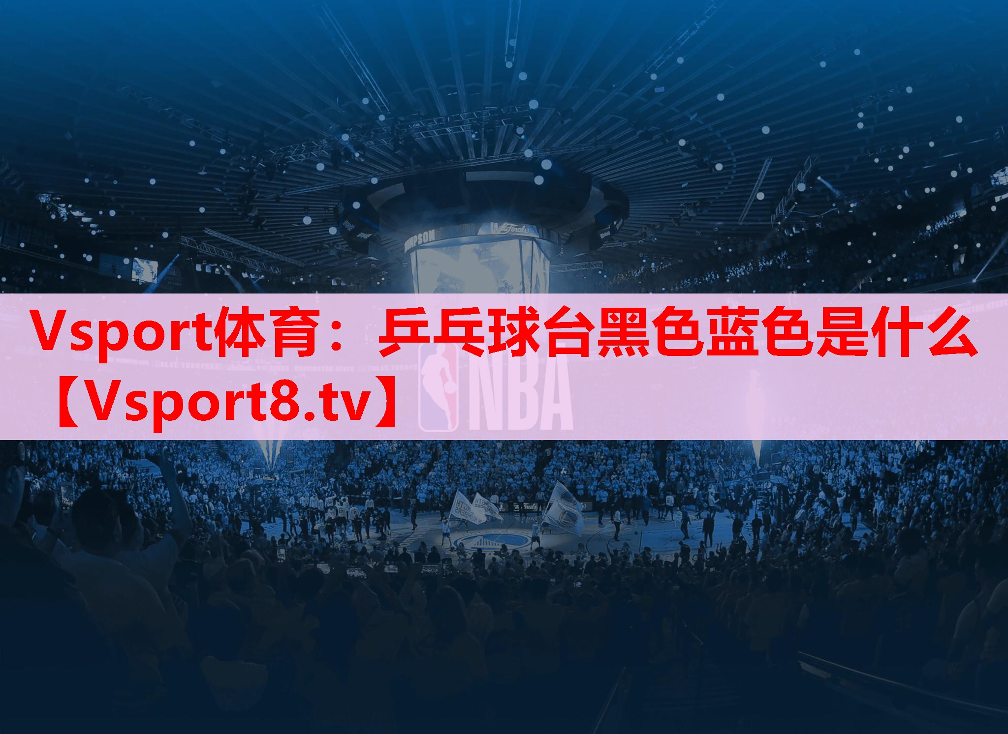 乒乓球台黑色蓝色是什么