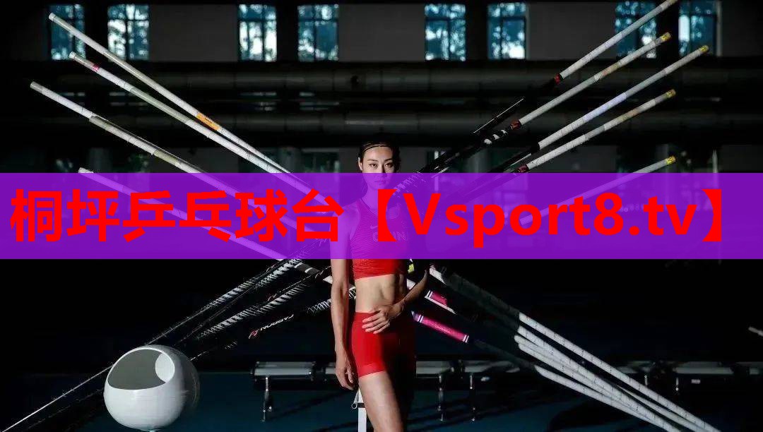 桐坪乒乓球台