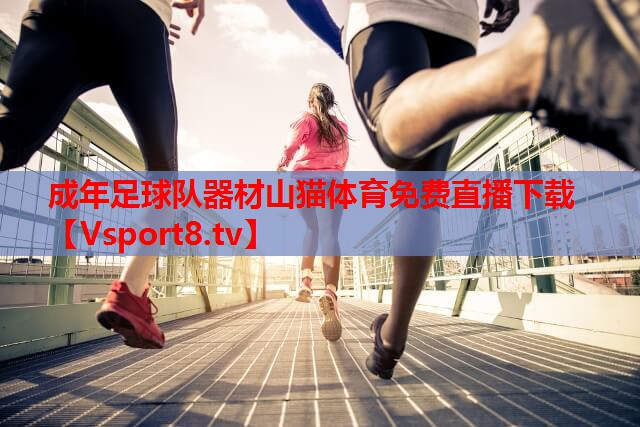 成年足球队器材山猫体育免费直播下载
