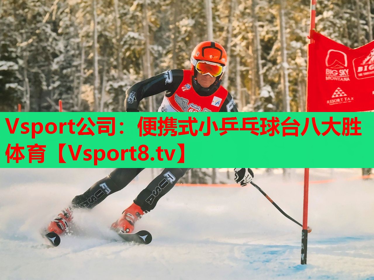 Vsport公司：便携式小乒乓球台八大胜体育